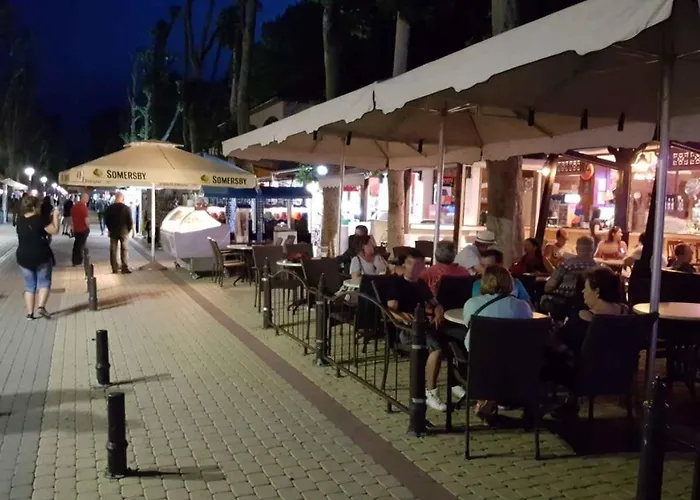 In - Balaton 41943 シオーフォク